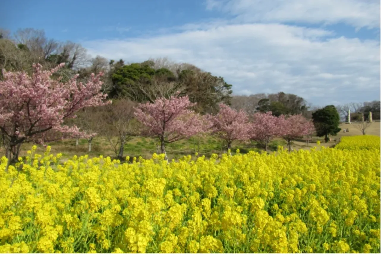 ▲花の広場