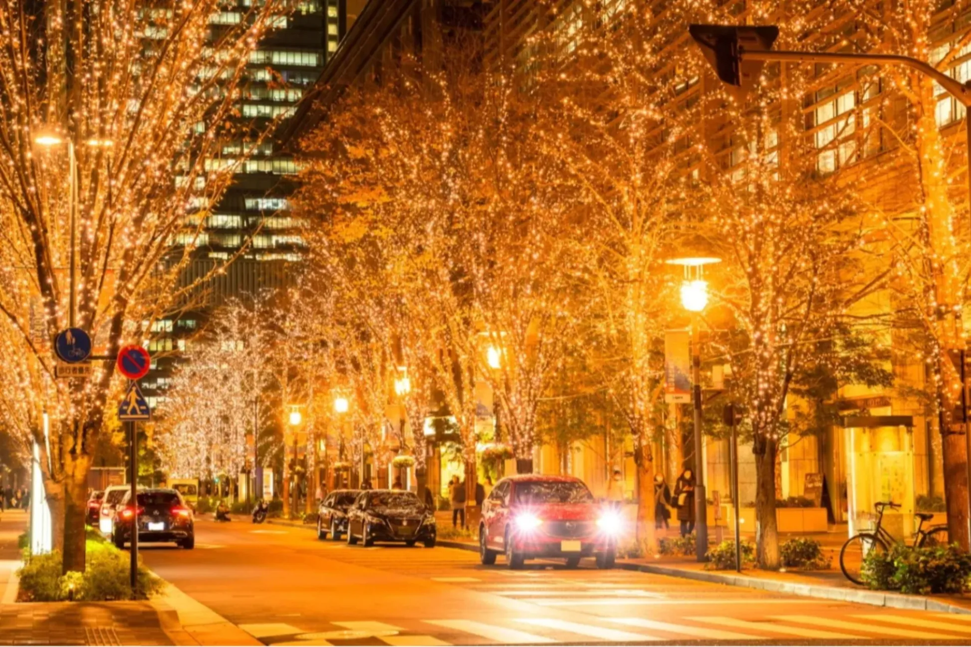 季節のおでかけまとめ～東京メトロ沿線の“冬に行きたいイベント5選”～