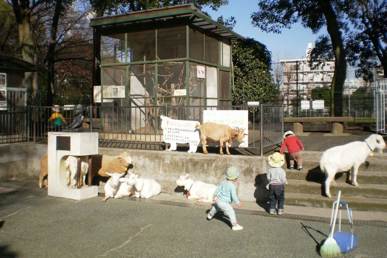 東京の動物園11選！入場無料＆ふれあいコーナーが人気のスポットも_3159648