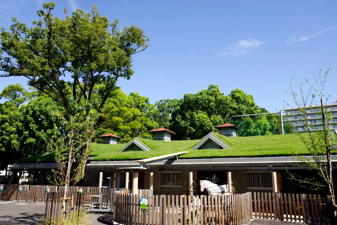 東京の動物園11選！入場無料＆ふれあいコーナーが人気のスポットも_3159654