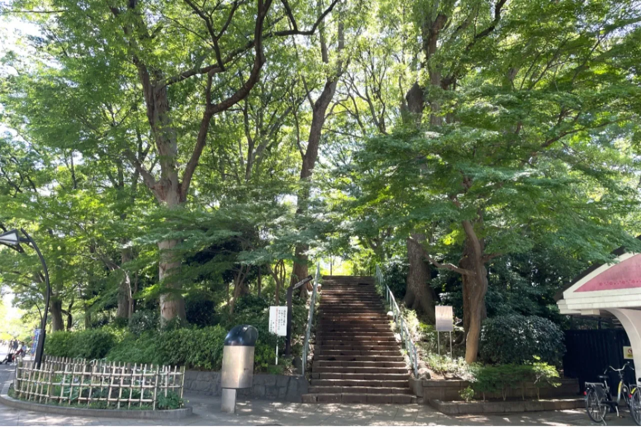 埴輪グッズに"おもしろ埴輪”…「東京国立博物館」で埴輪を愛でよう_1823727