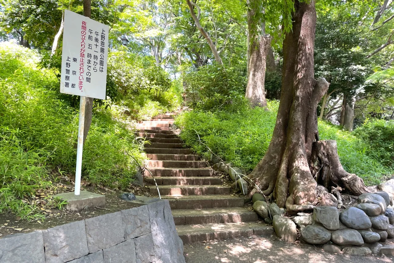 ▲きれいに階段が整備してある