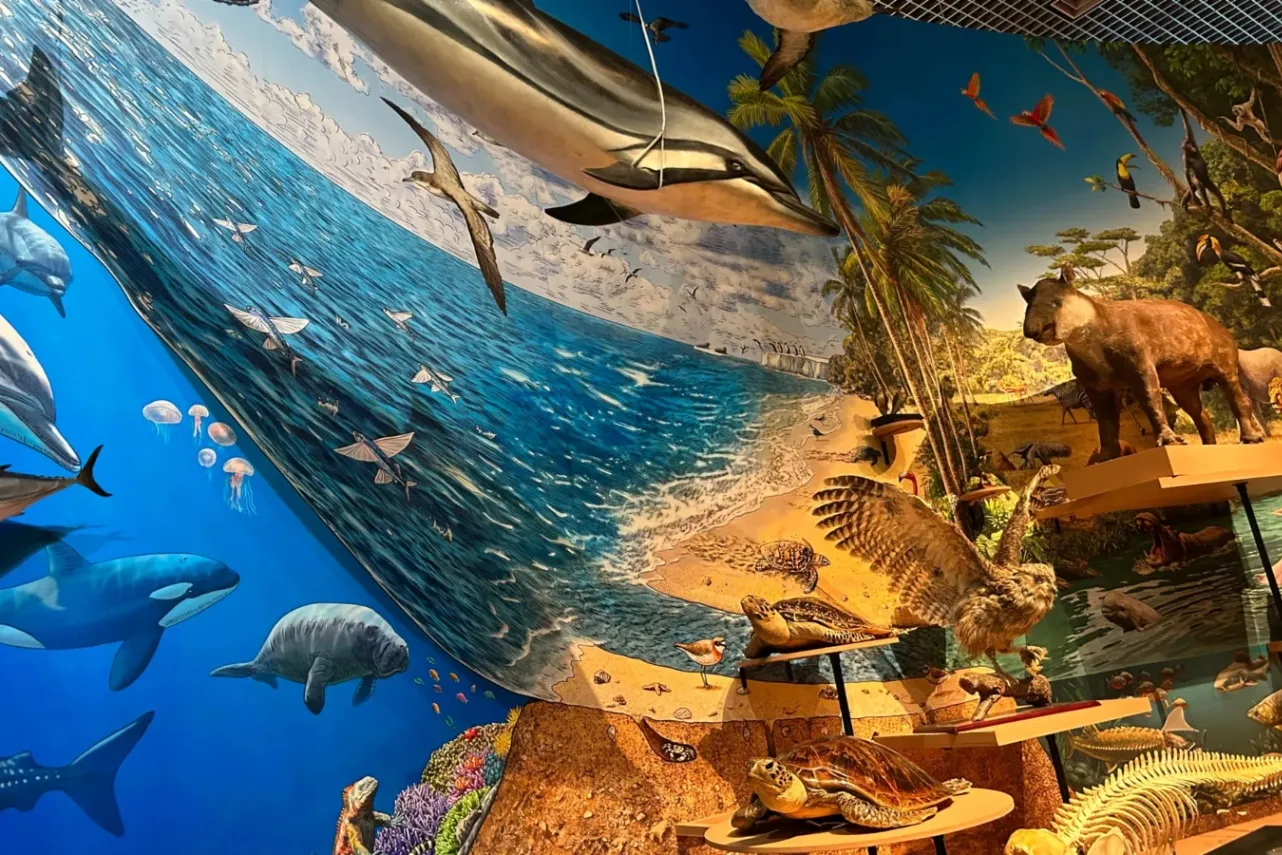 ▲＜特別展「いきもの超ワールド展　 国立科学博物館×ダーウィンが来た！」＞入口の展示（2026年撮影：レッツエンジョイ東京編集部）(C)国立科学博物館