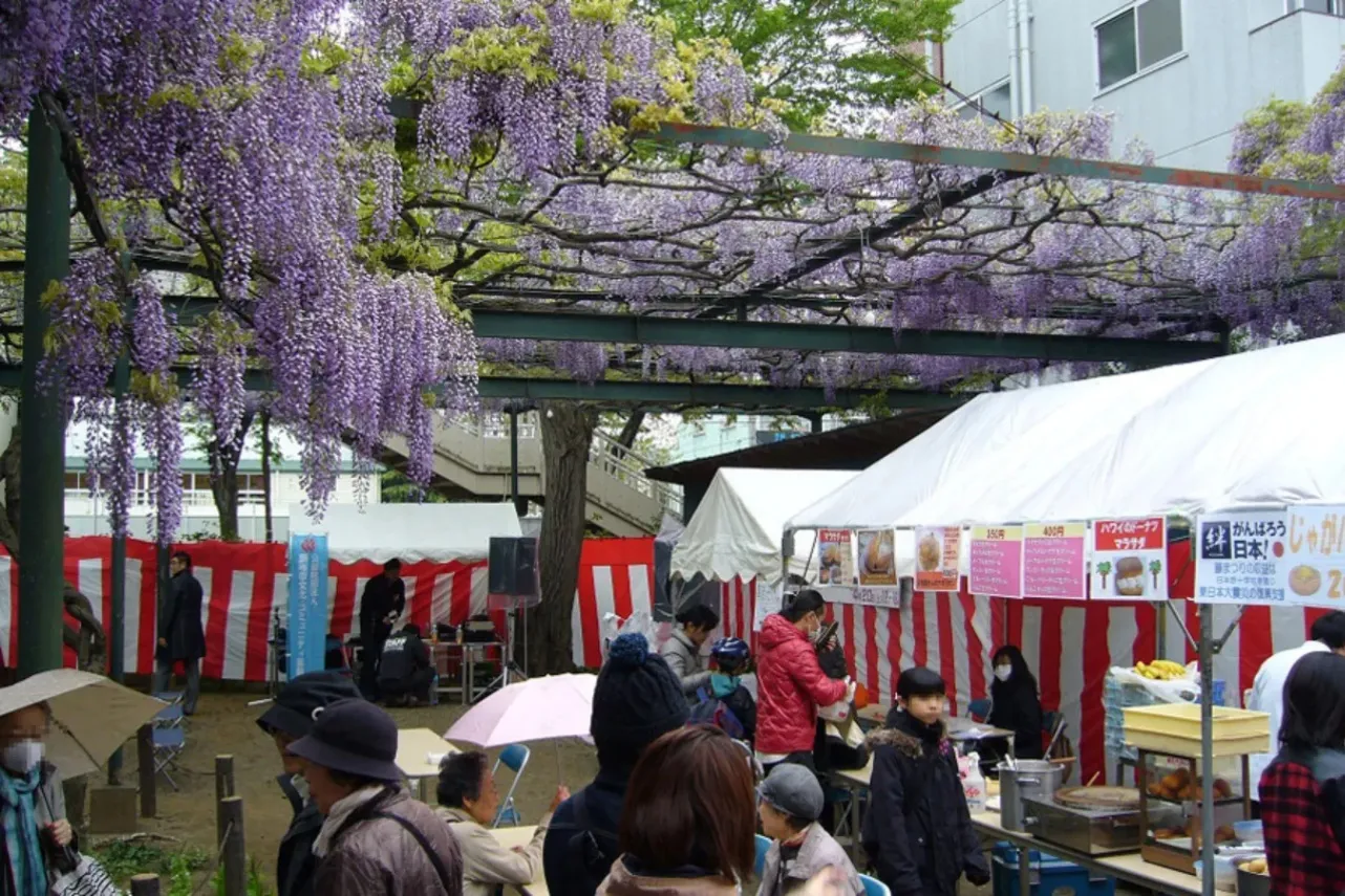 【2026】東京「藤の花」の名所8選！藤棚の見ごろ、まつり情報も_3592554