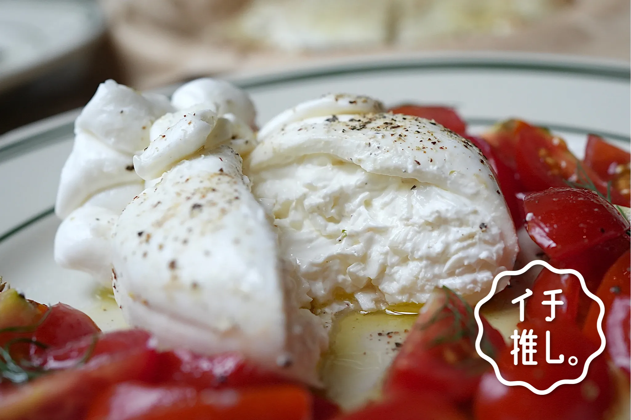 できたてチーズ料理が魅力「SHIBUYA CHEESE STAND」グルメライター道明寺さくらのイチ推し。