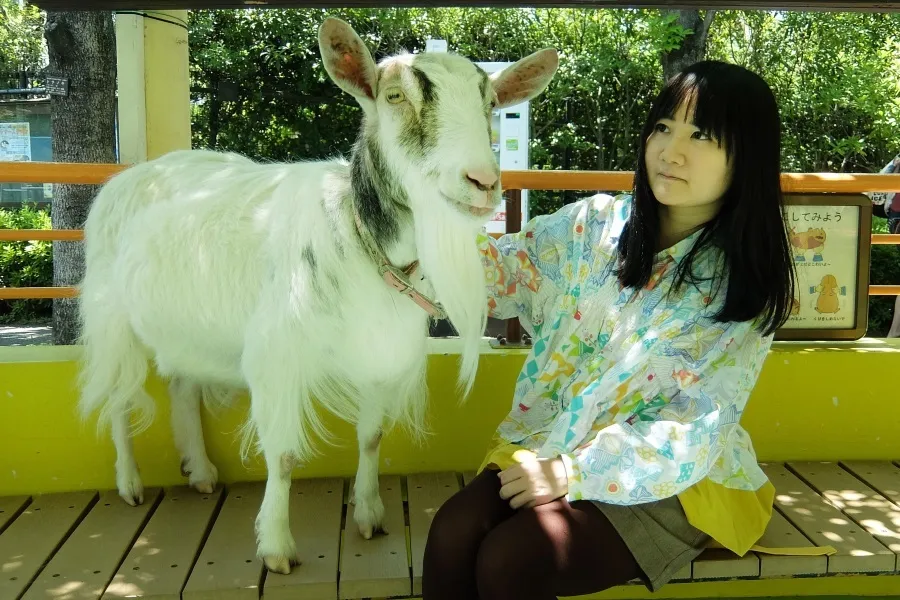 無料で遊べる動物園を一人で遊び尽くしてきた【0円ソロ活】