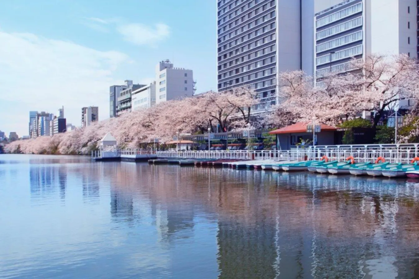 【東京】桜が見えるレストラン6選！優雅に花見デートを満喫♪_3355543