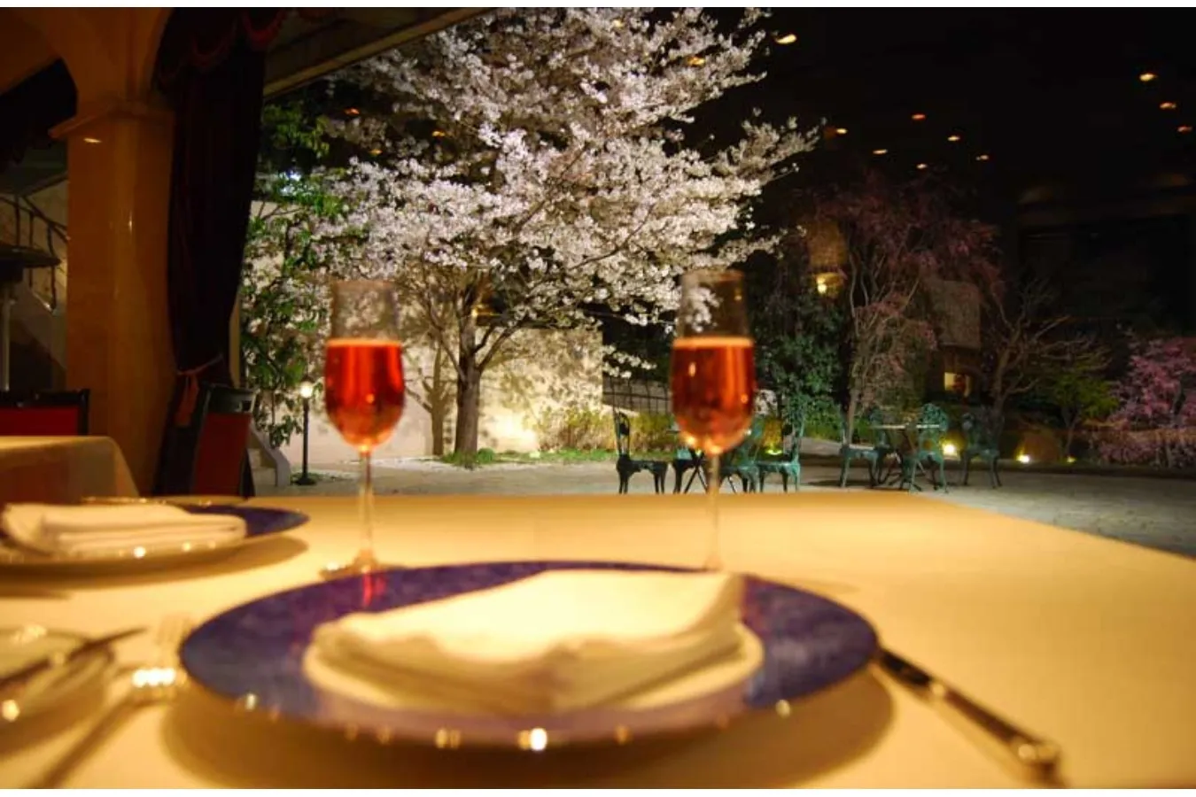 【東京】桜が見えるレストラン6選！優雅に花見デートを満喫♪_3355552