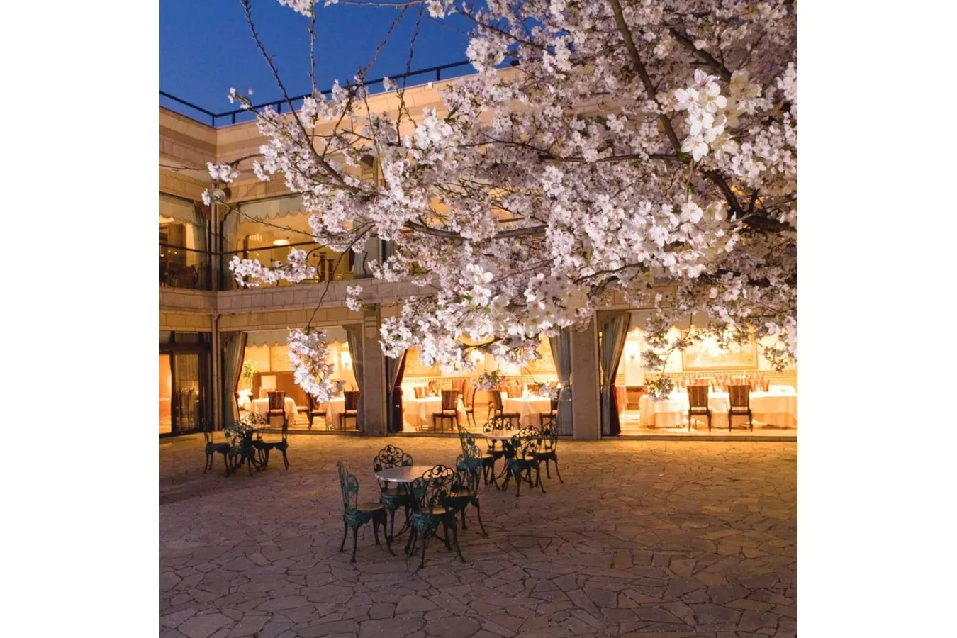 ▲「庭園イメージ」