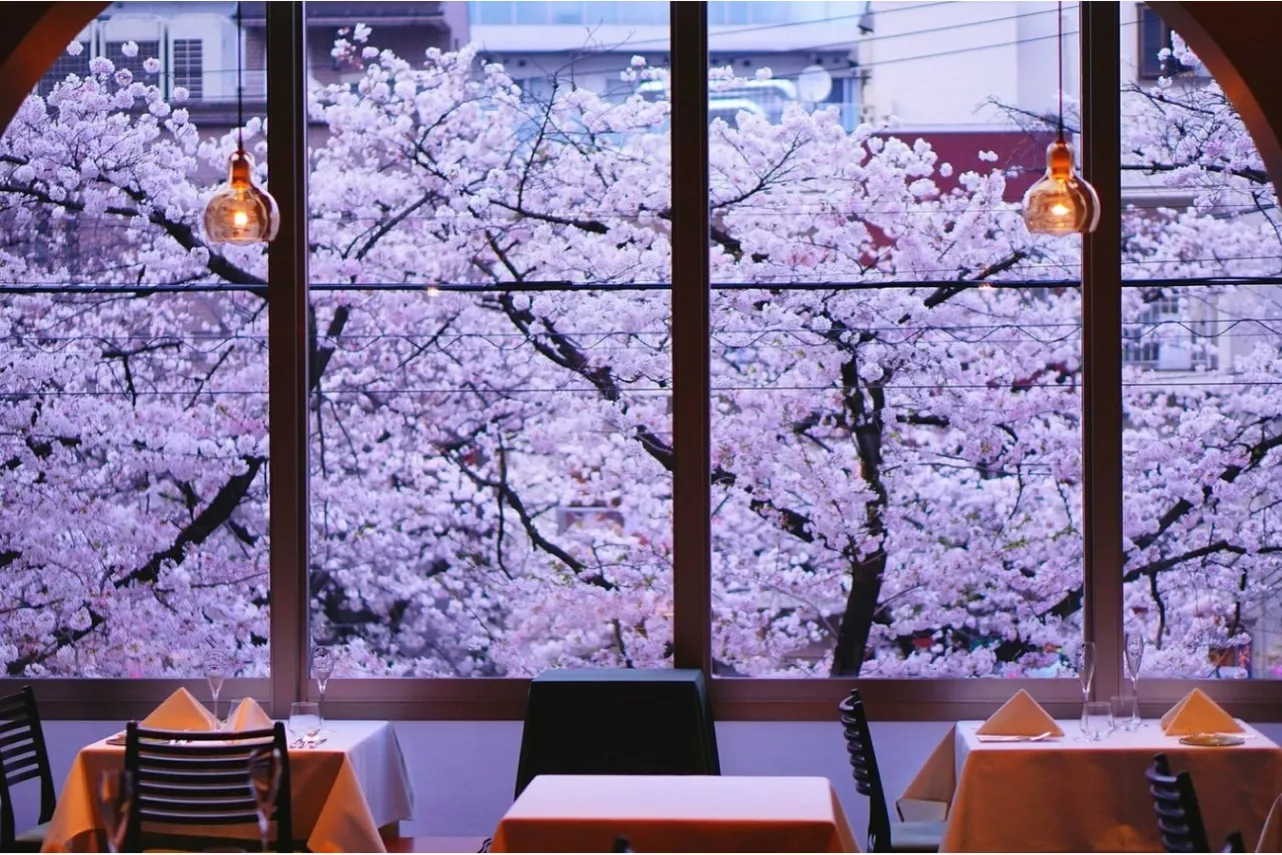 【東京】桜が見えるレストラン6選！優雅に花見デートを満喫♪_3355560