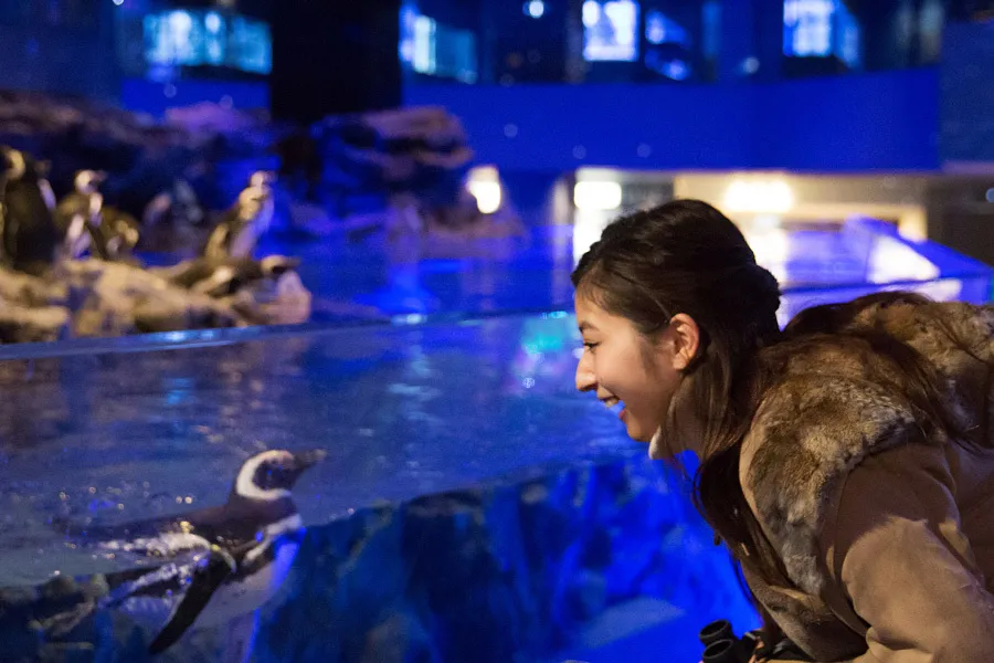 18歳以上限定の水族館イベントでオトナの夜を…まったり心ゆるむワークショップで癒しデート♪