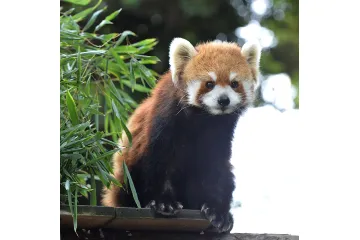 撮影:高氏貴博