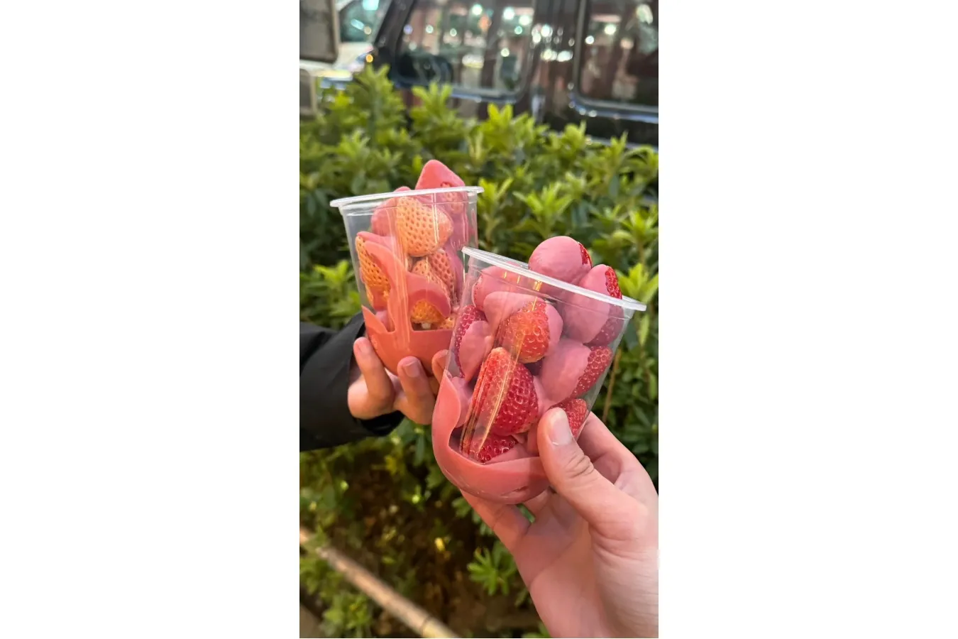 いちごチョコ専門店「Strawberry choco」原宿にオープン_1471093