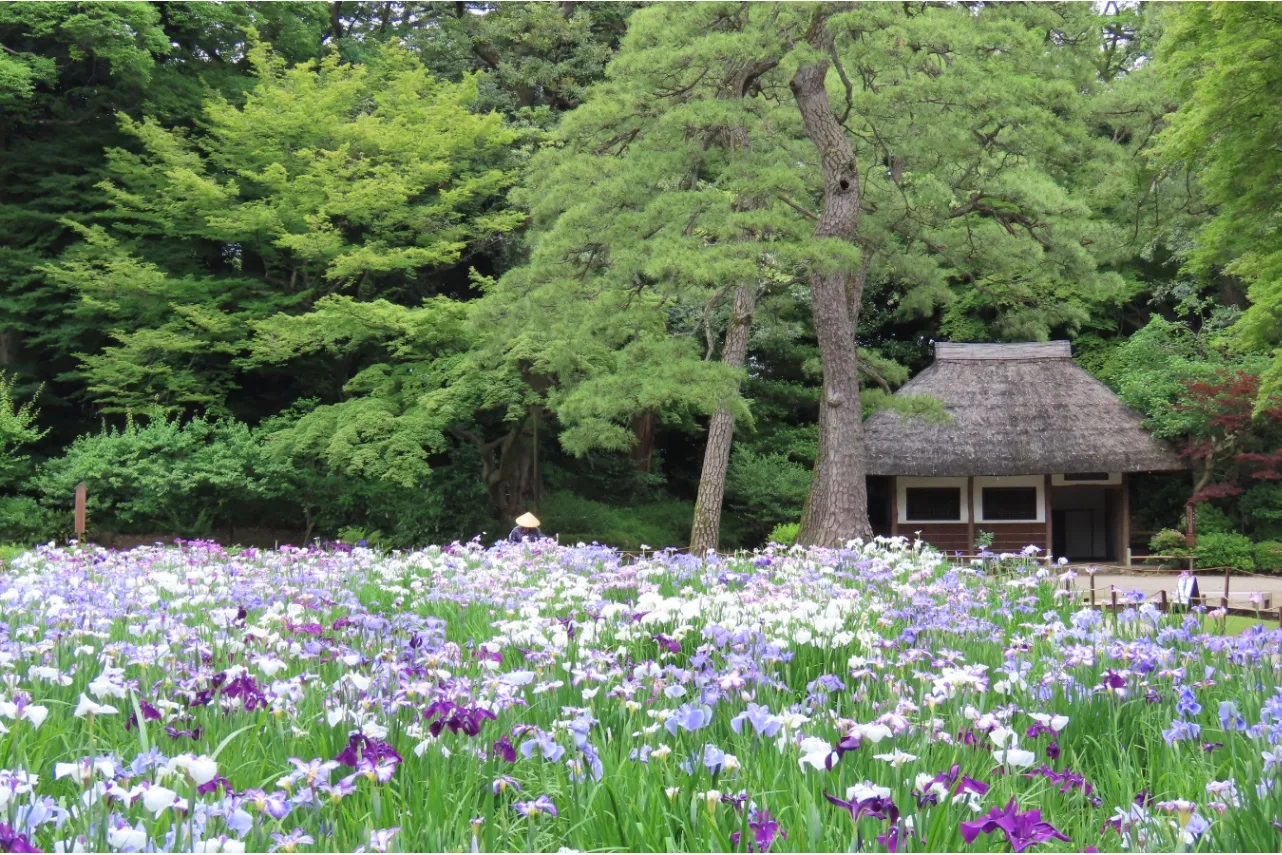 ▲画像提供：公益財団法人 東京都公園協会