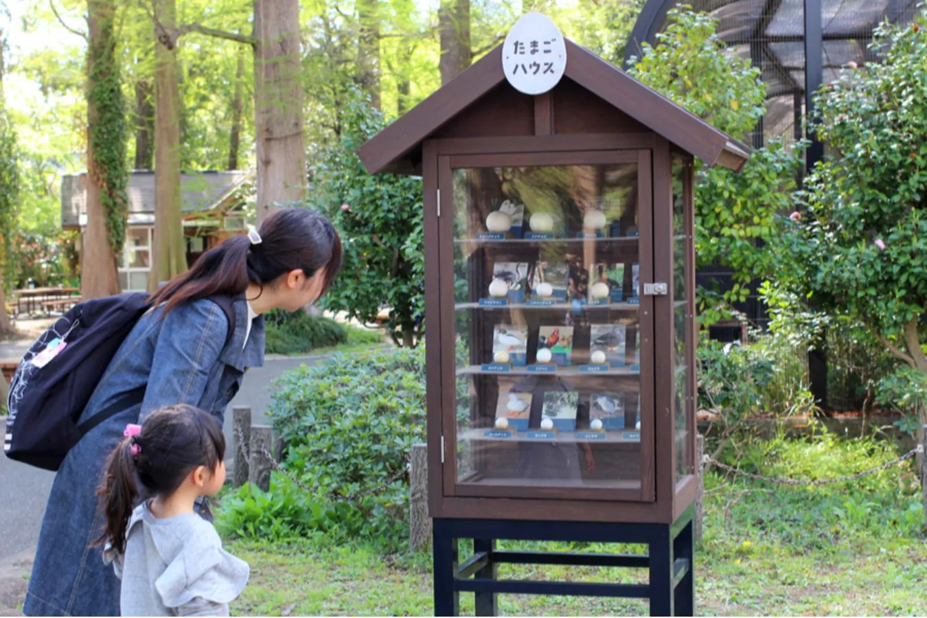 【吉祥寺】動物園にミニ遊園地も！「井の頭公園」一日おでかけプラン_2779133