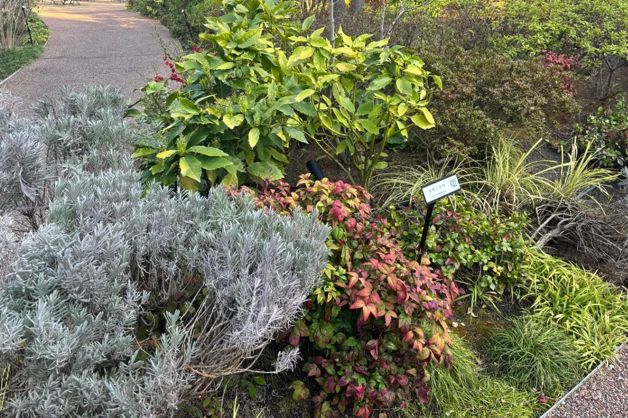 編集部が見つけた！“デパ屋”神社シリーズ～日本橋三越本店「三囲（みめぐり）神社」編～_3652281