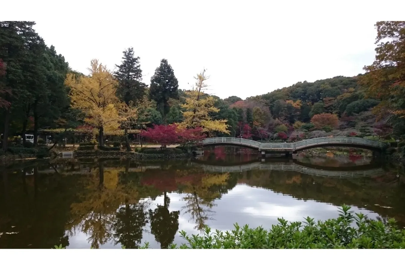 ▲タイコ橋
