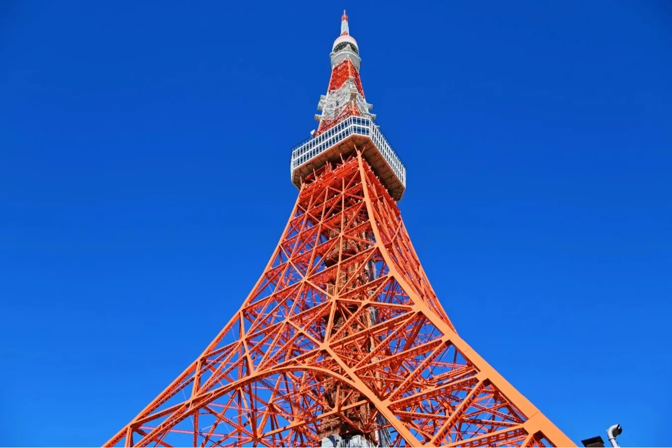 東京を見つめ続けるレジェンド！今こそ知ってほしい「東京タワー」の魅力_1613635
