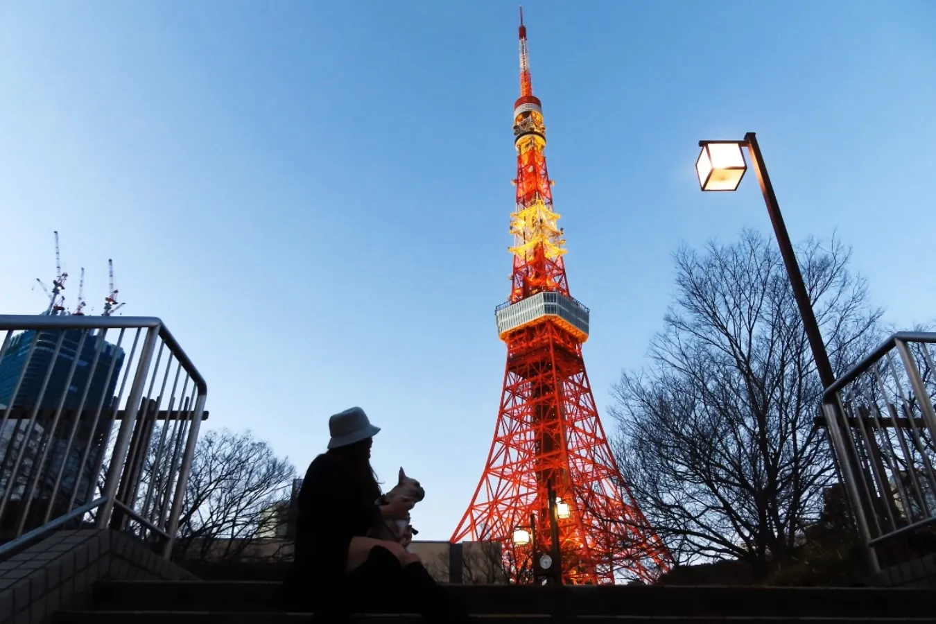 ▲お友達と愛犬をモデルに撮影。