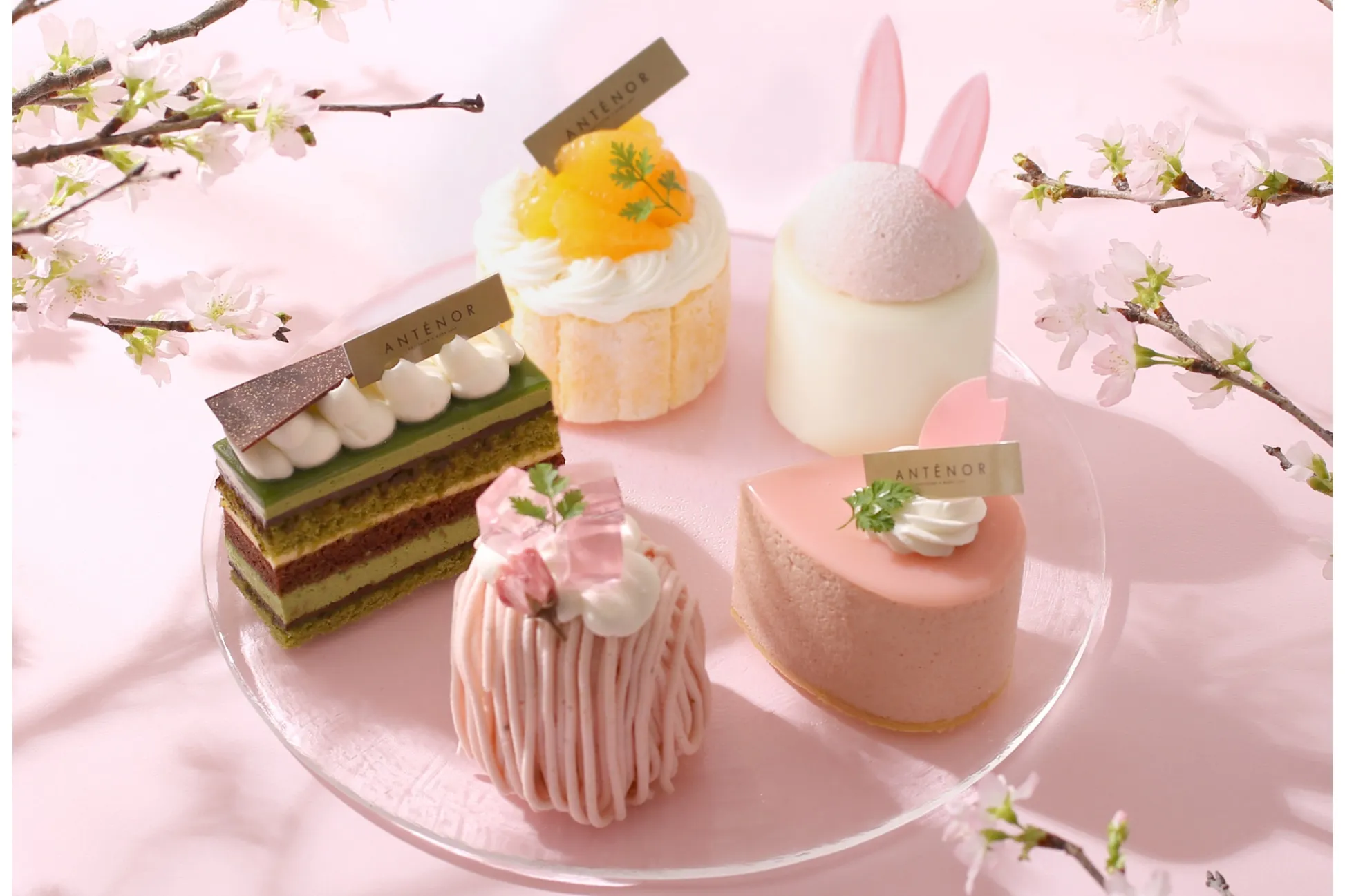 【アンテノール】”お花見“テーマの春スイーツが登場！桜色に染まったうさぎのレアチーズも
