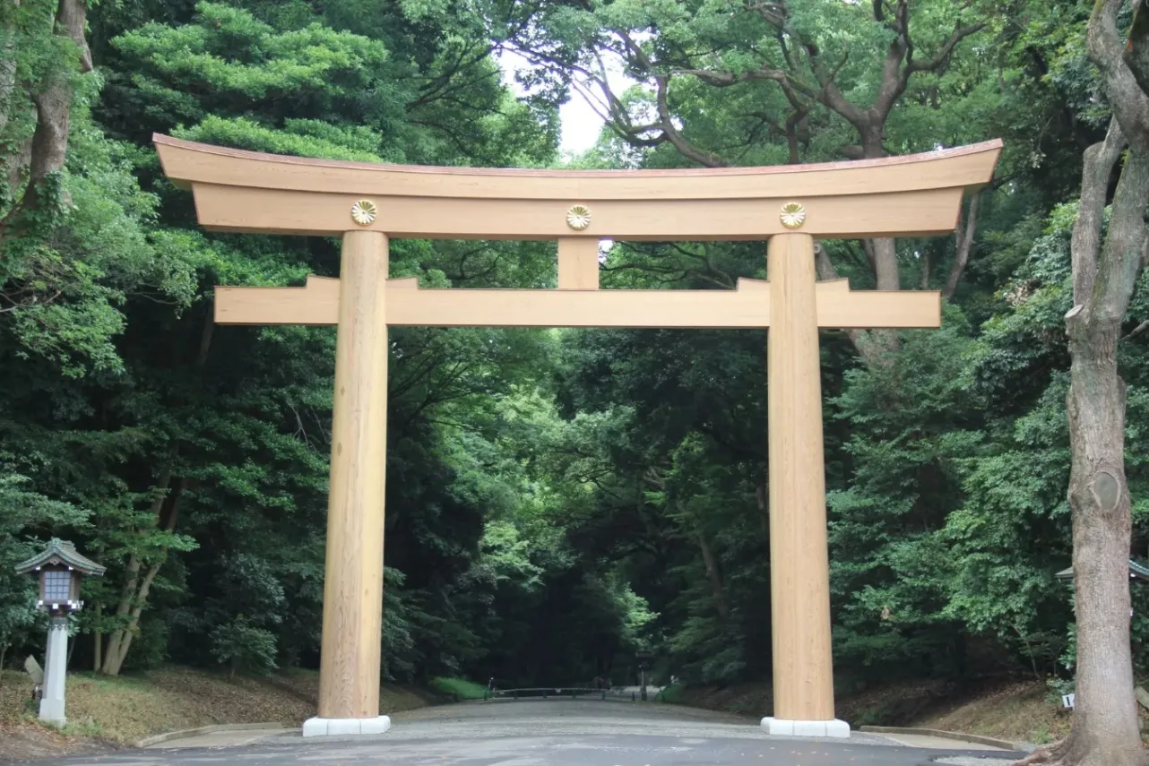【2025】年末デートにオススメの東京スポット8選！大晦日にも◎_3207130