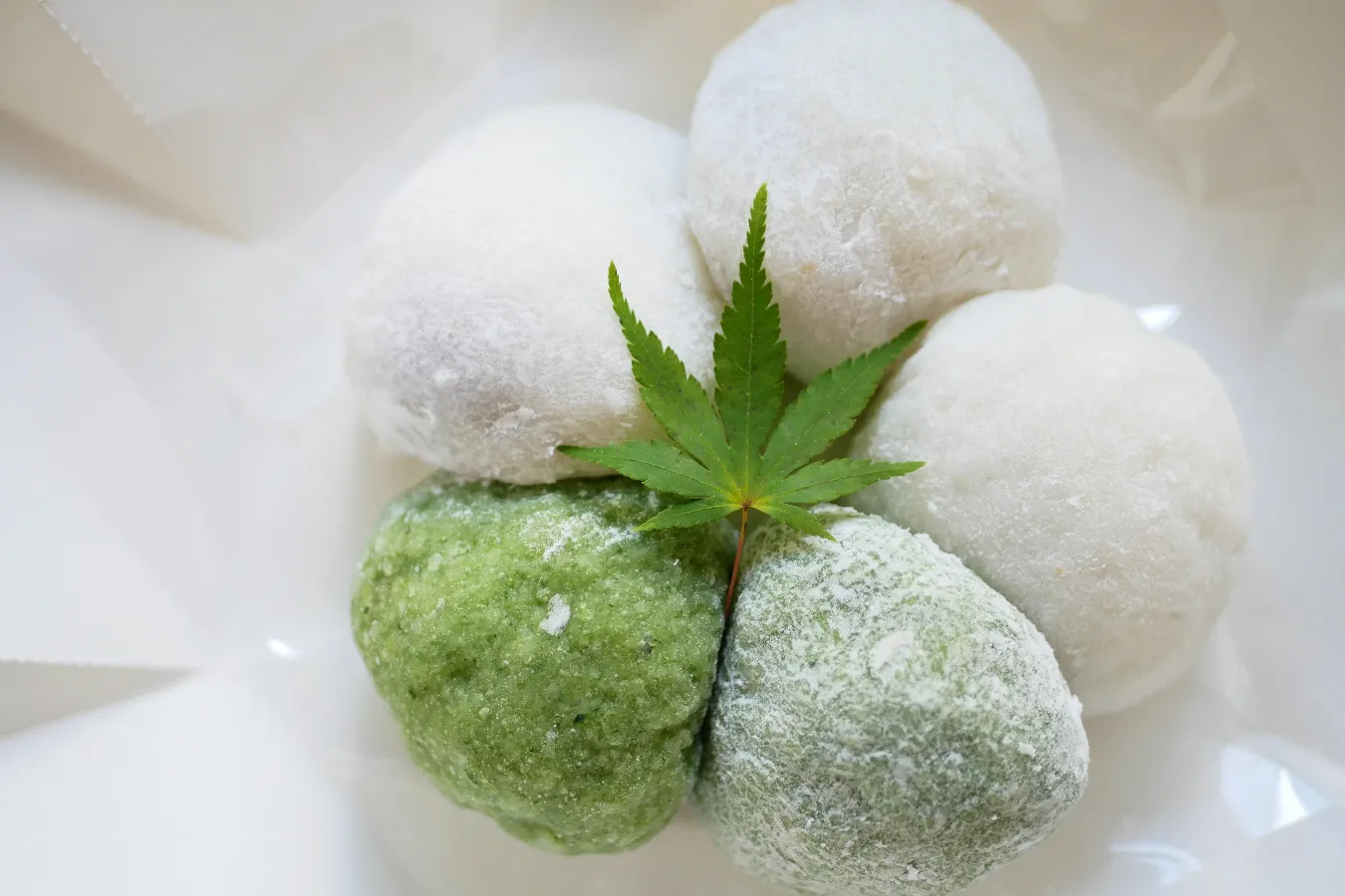 生大福が美味しい！代々木八幡「あいと電氣餅店」和菓子・ネオ和菓子専門家・安原伶香のイチ推し。_673286