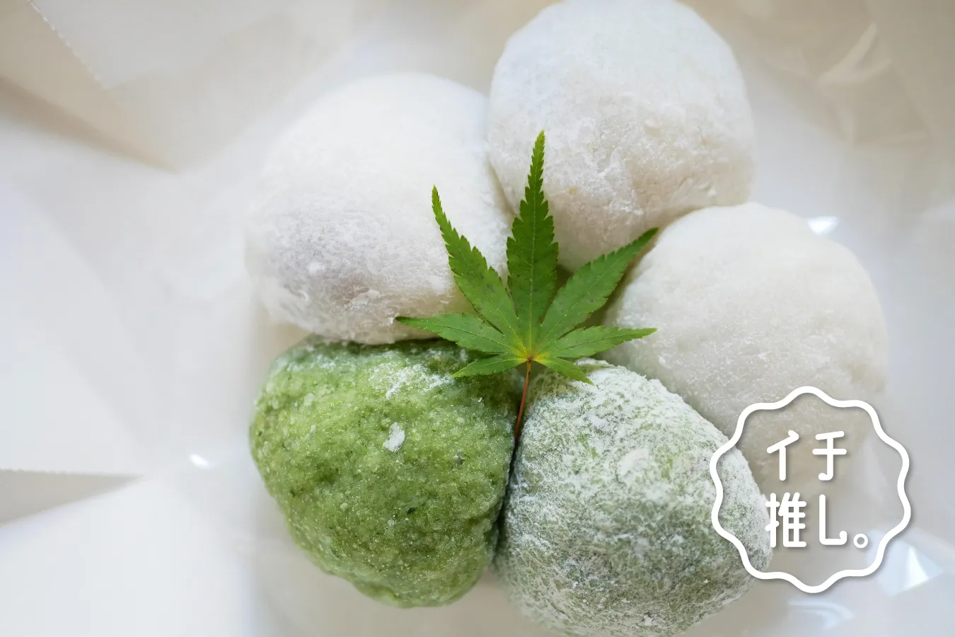 生大福が美味しい！代々木八幡「あいと電氣餅店」和菓子・ネオ和菓子専門家・安原伶香のイチ推し。