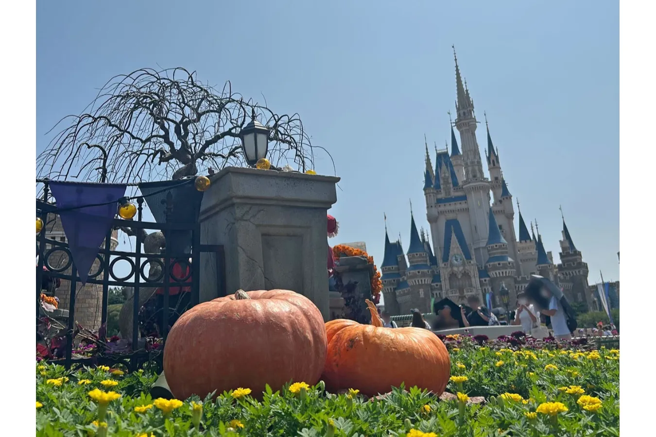 秋のディズニーリゾートで「トリック・オア・トリート」!「ディズニー・ハロウィーン」開催_2924292
