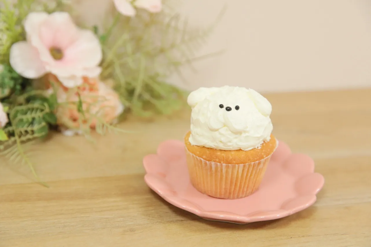 ▲カップケーキ ビションフリーゼ