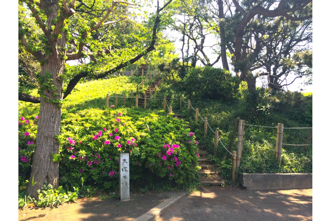 【等々力】形がかわいい「野毛大塚古墳」古墳シンガーまりこふんのイチ推し。_671990