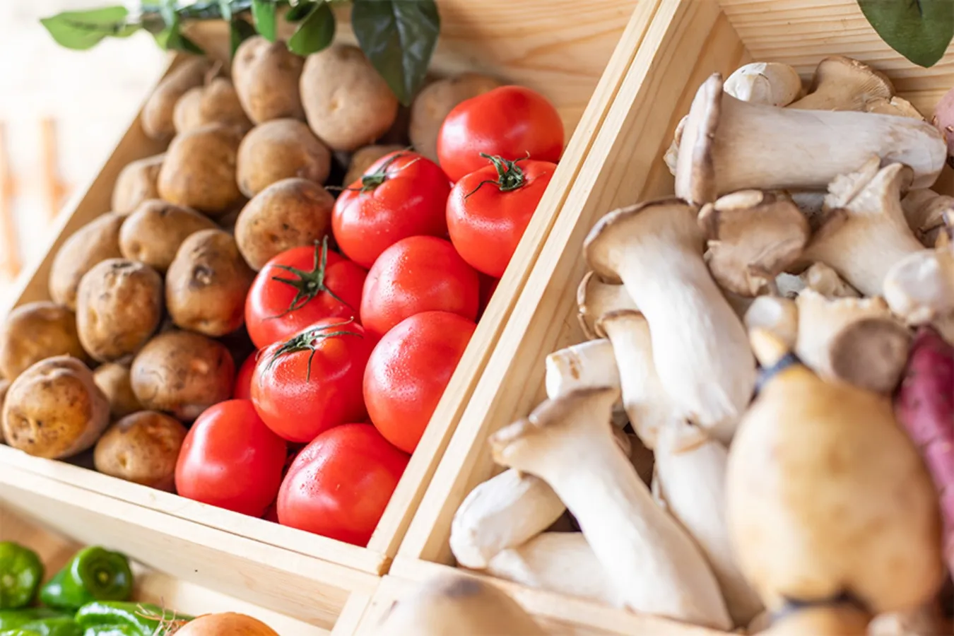 ▲おやさいマルシェ。地産のフレッシュな野菜を無料で提供