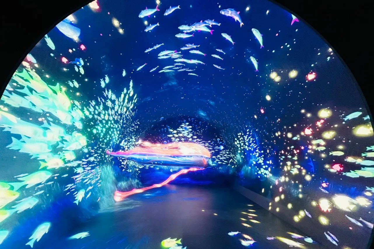 ▲「ダイブ・トゥ・ブルー」（撮影：レッツエンジョイ東京編集部）