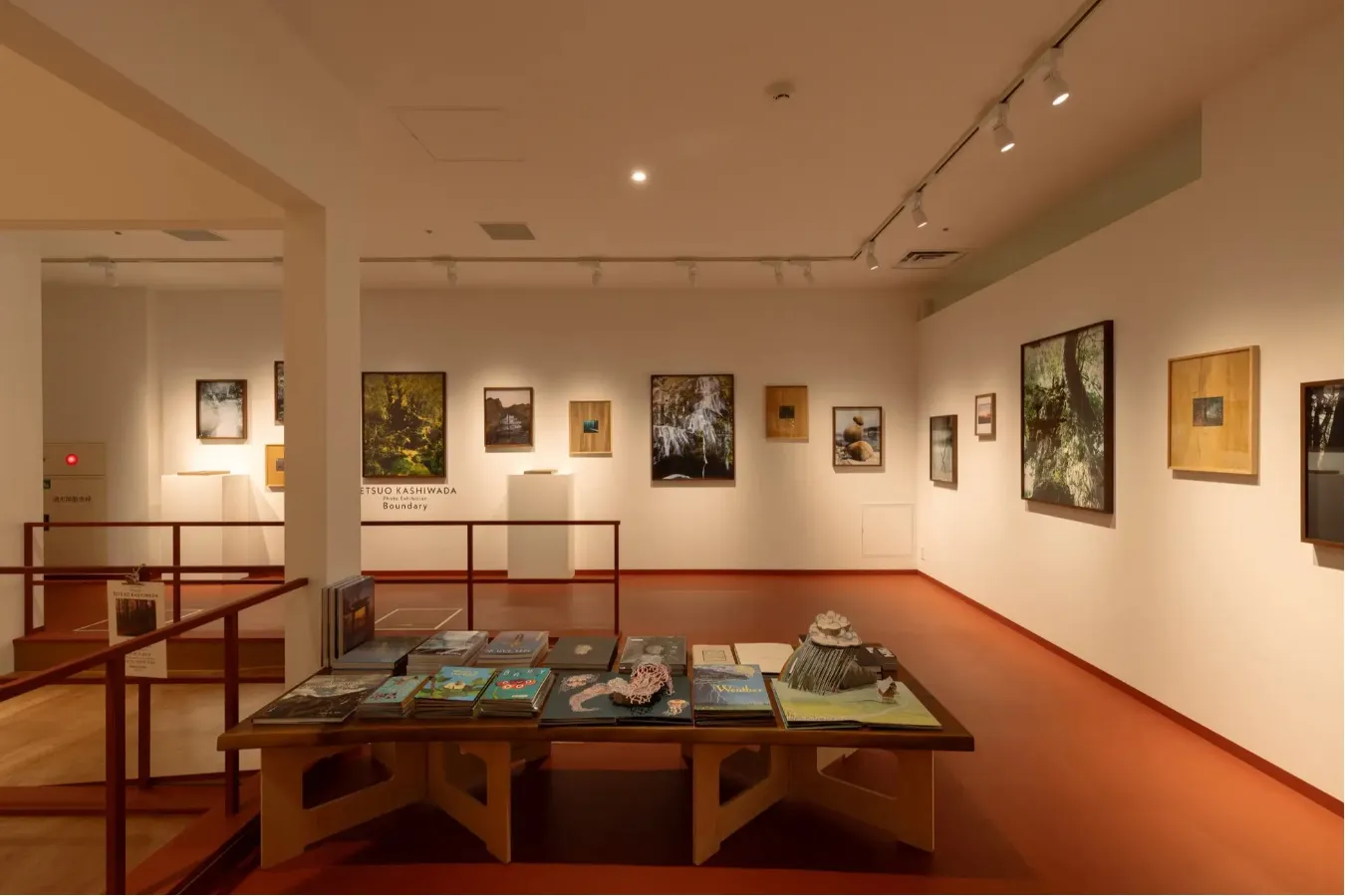 本とアートの複合スペース「ノンレクチャー ブックス/アーツ」渋谷にオープン_3445871