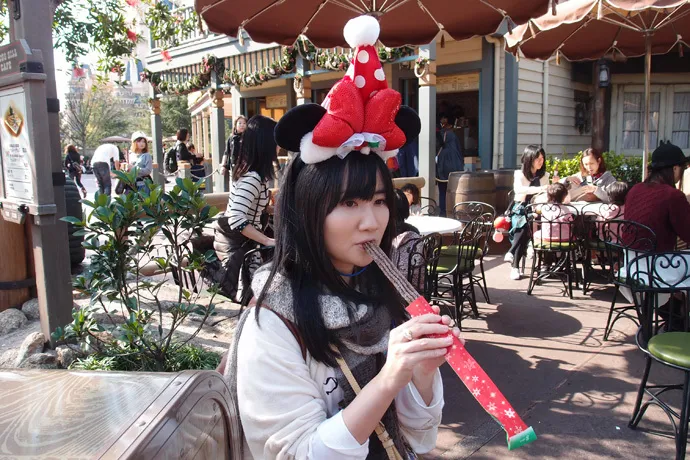 クリスマス真っ最中なのに、一人で東京ディズニーランド＆シーに行ってきた