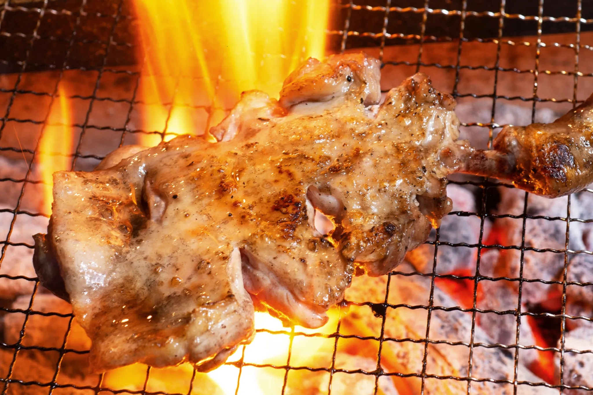 【学芸大学駅】昼から飲める！「カドクラ食堂」オープン