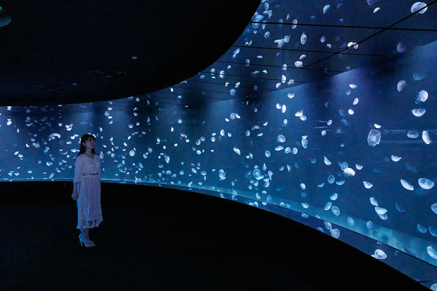クラゲだけの巨大水槽も！サンシャイン水族館「海月空感」レポ