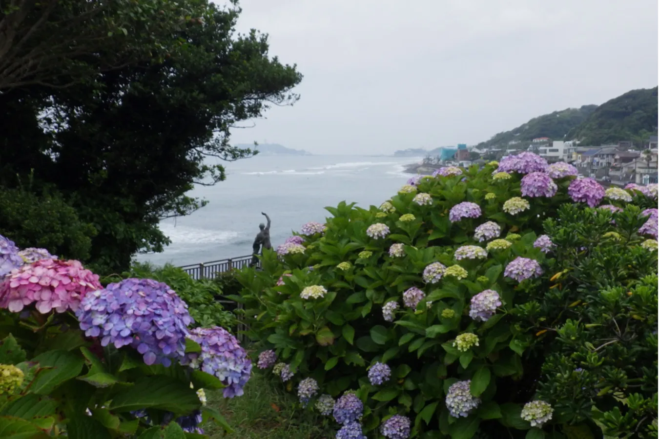 ▲写真提供：鎌倉市公園協会