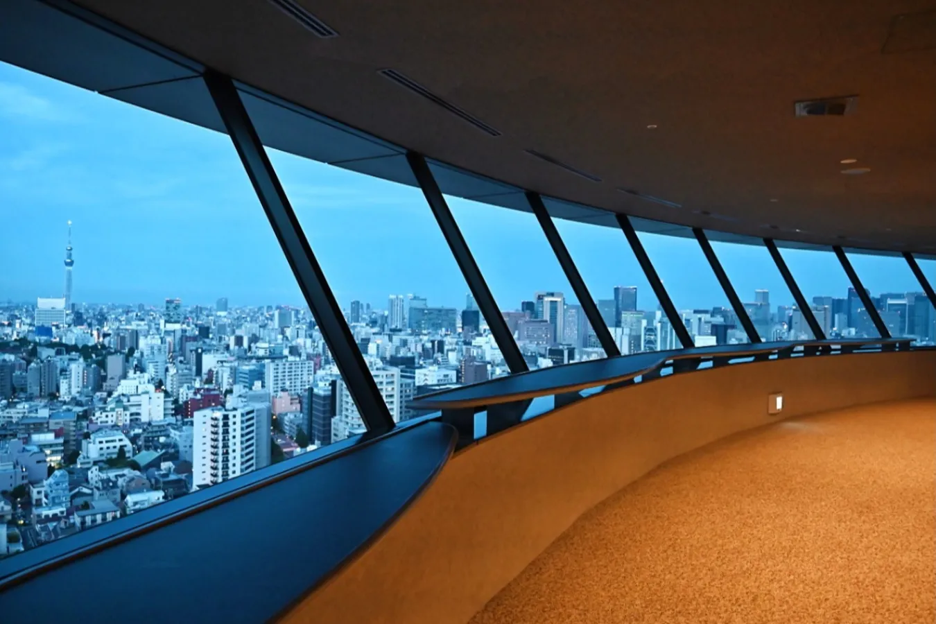 絶景を楽しめる東京の展望台11選!入場無料から新名所まで_2669426