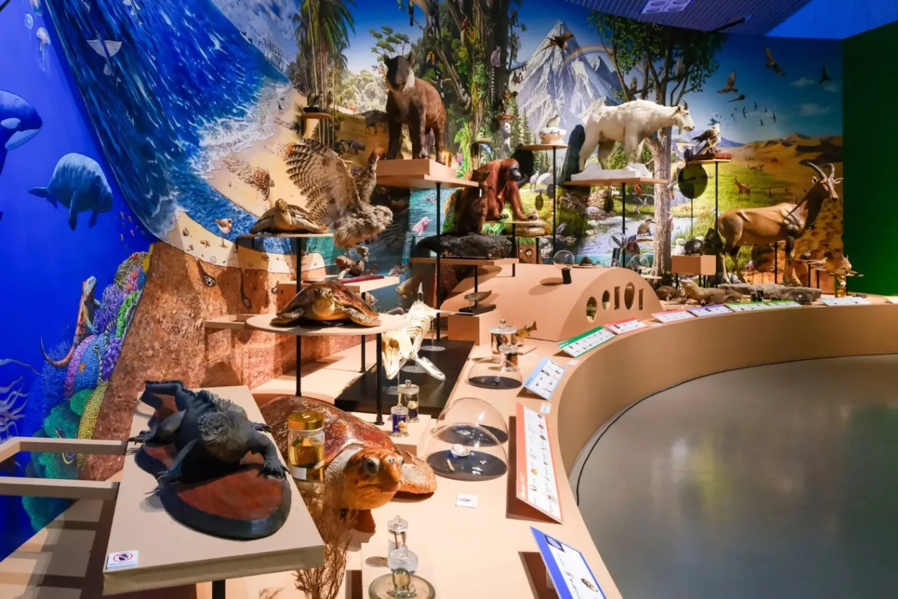 ▲特別展「いきもの超ワールド展 国立科学博物館×ダーウィンが来た!」 オフィシャルスチール (C)国立科学博物館
