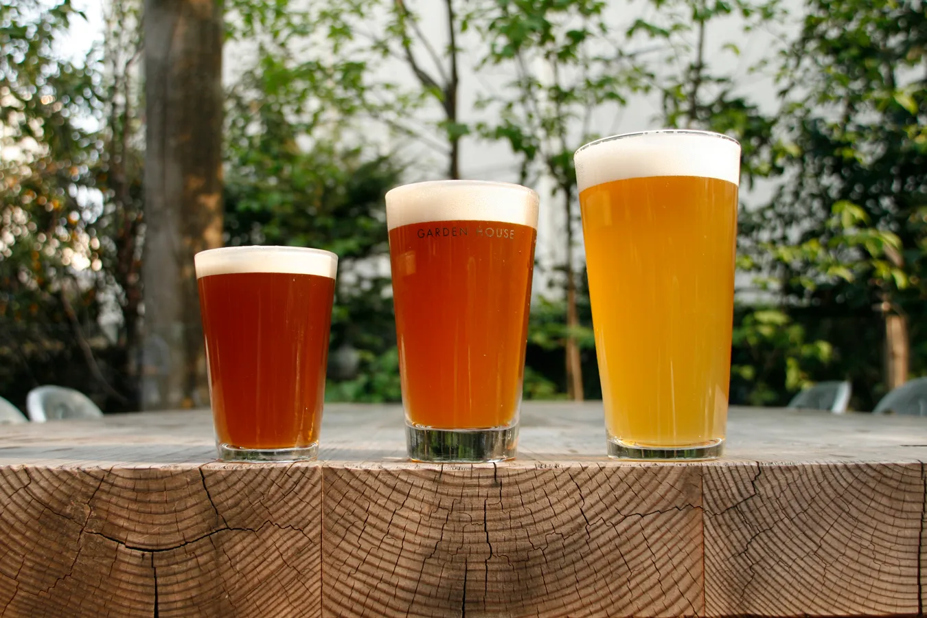 鎌倉駅周辺おすすめグルメスポット5選【湘南在住ライター推薦】_2536319