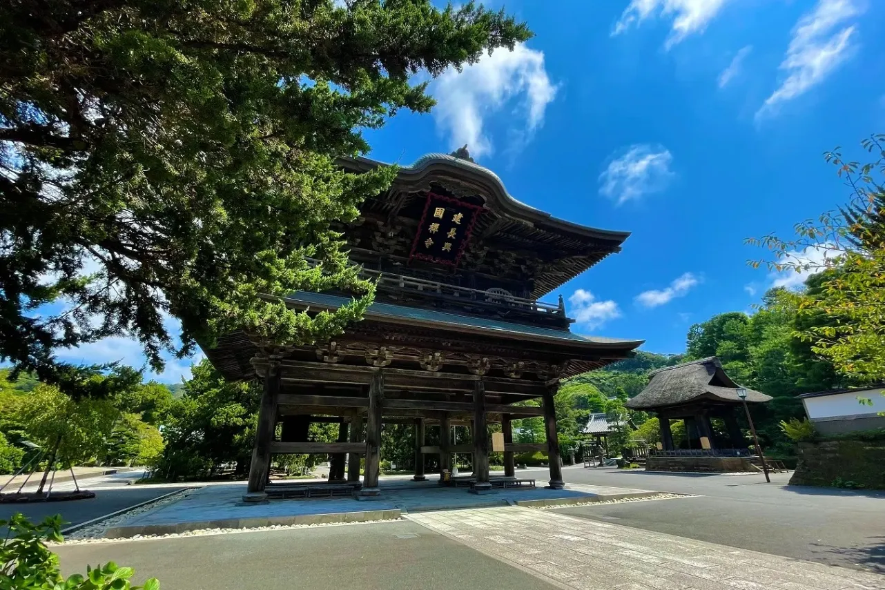 ▲山門（国の需要文化財）