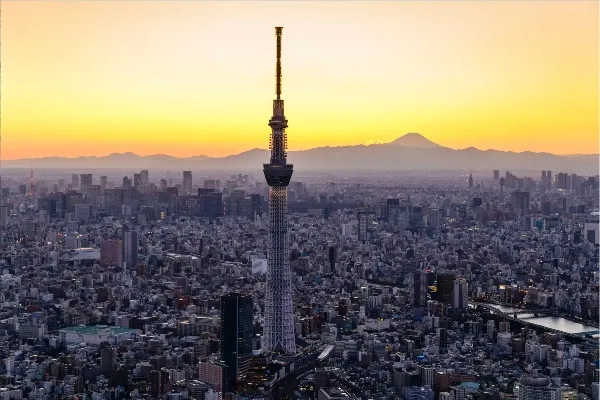 「暇な日、何しよう？」一人でも楽しめる東京スポット8選【すべて前売チケットあり】