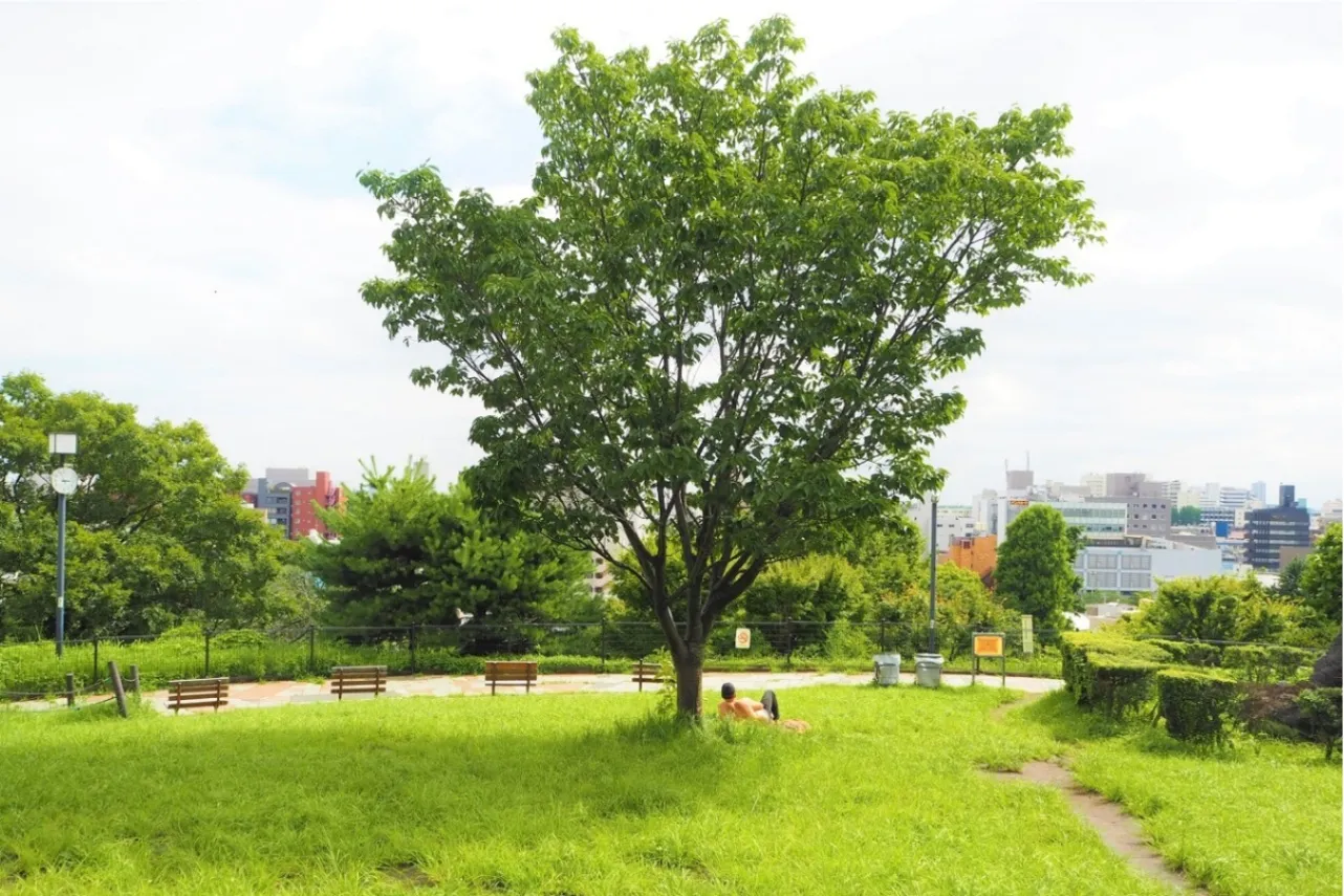 西郷山公園