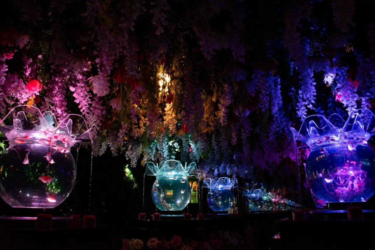 金魚アートの「アートアクアリウム美術館 GINZA」、27年1月で常設展示終了_4129068