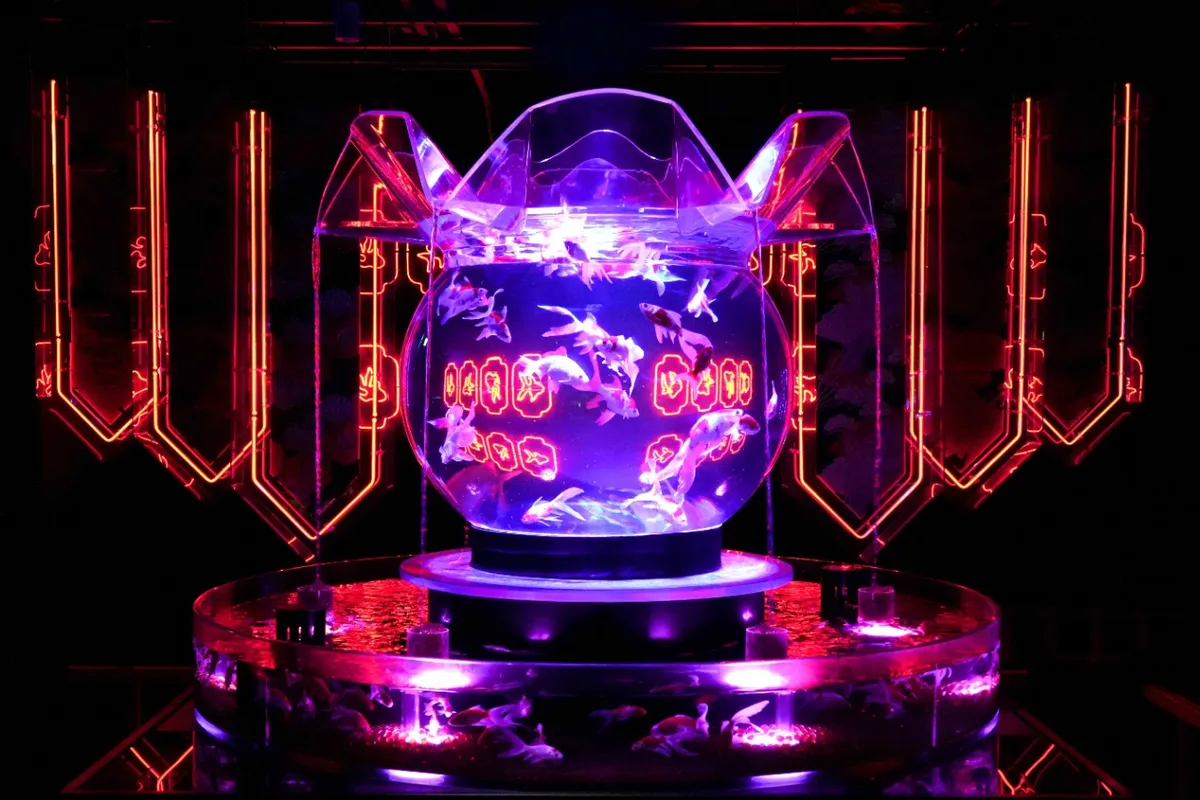 金魚アートの「アートアクアリウム美術館 GINZA」、27年1月で常設展示終了