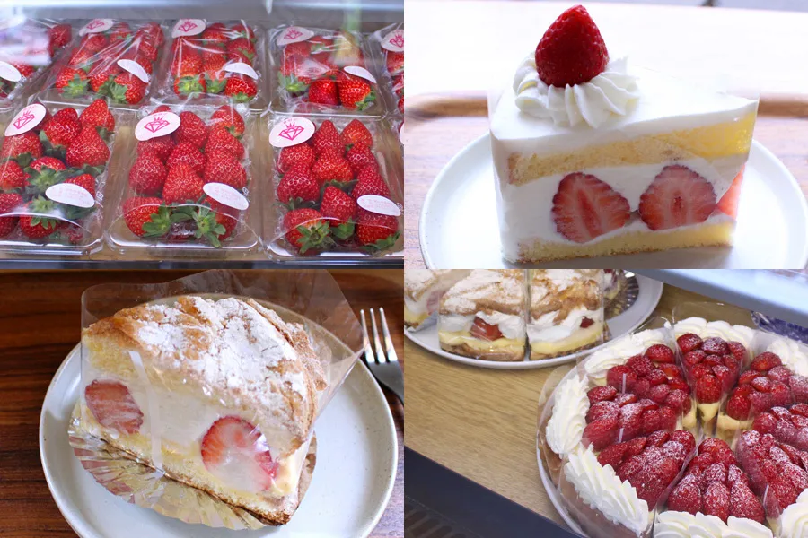 一年中人気のイチゴスイーツが楽しめる♪三軒茶屋「いちびこ」へ