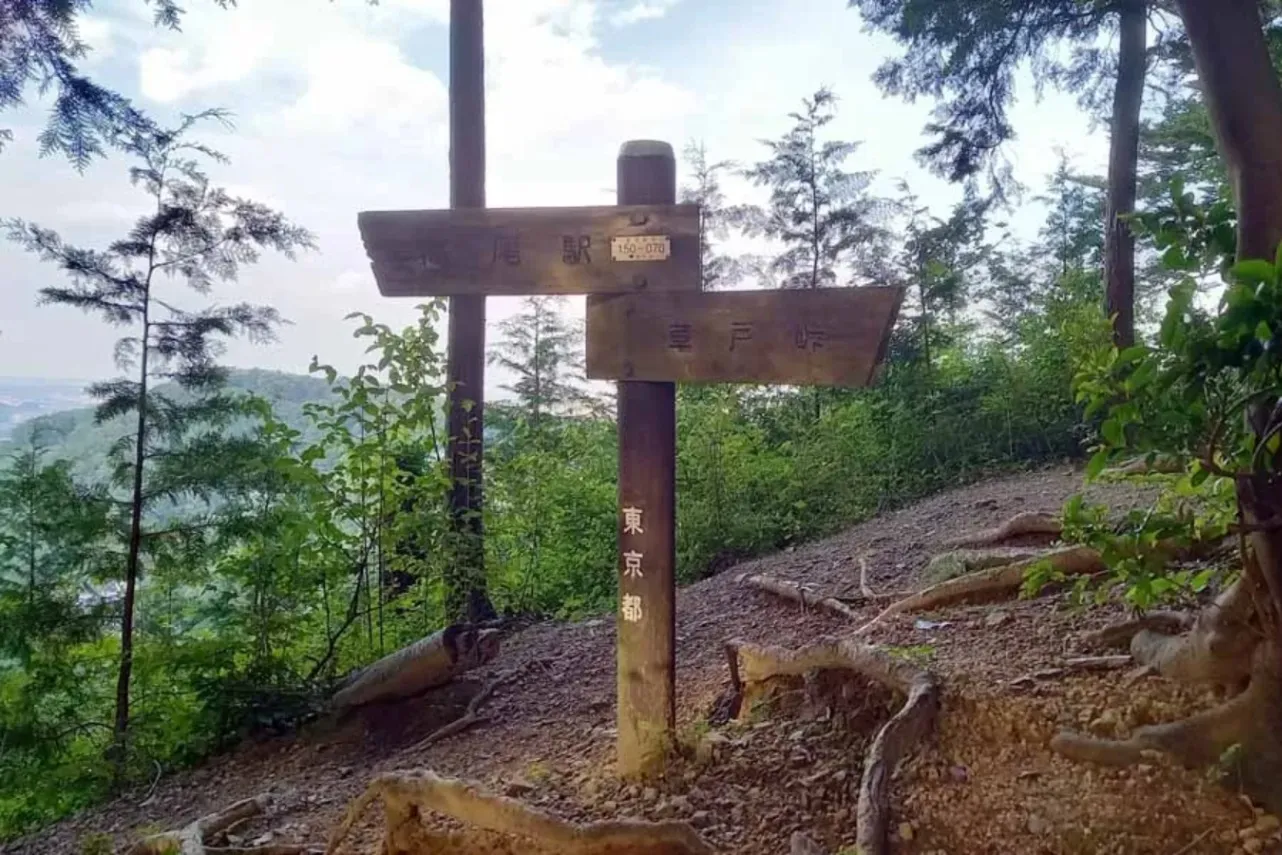 高尾山の新しい楽しみを満喫！活動ホテル「タカオネ」レポート_1379301