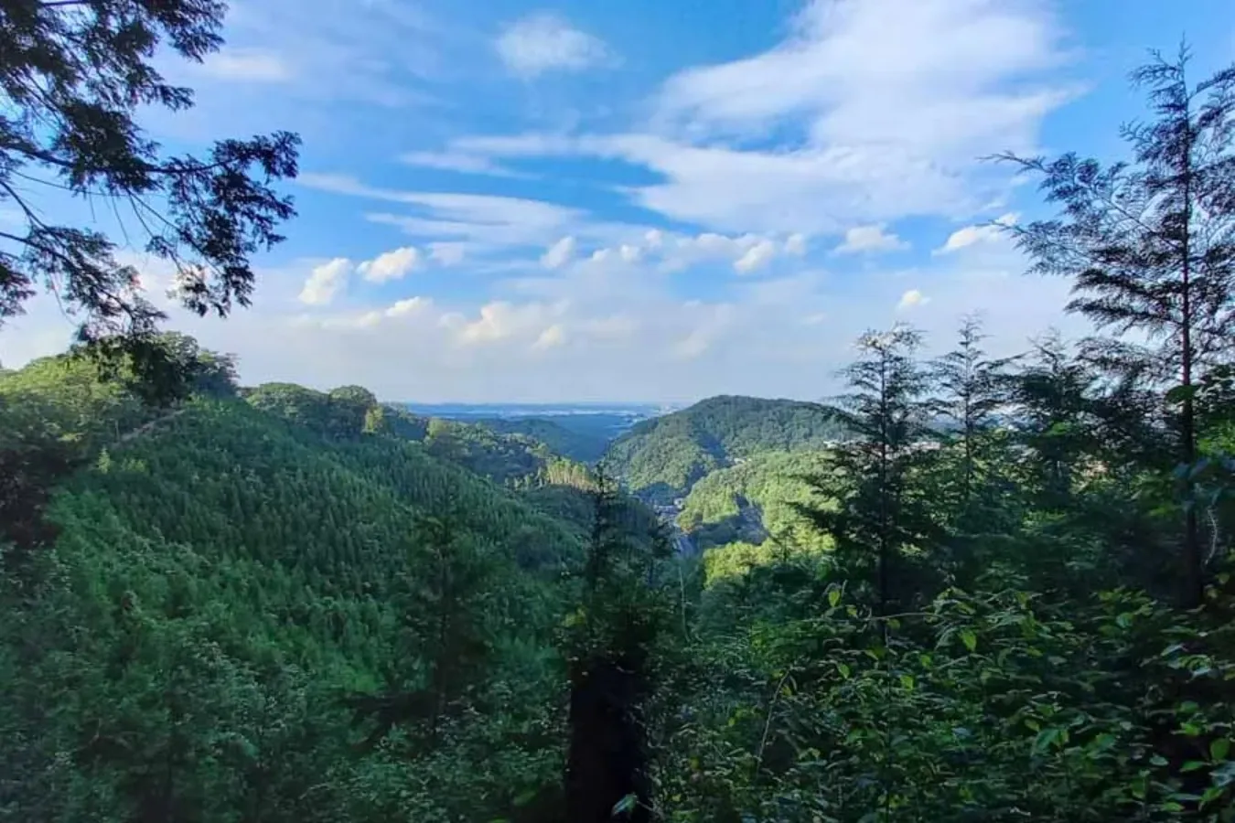 高尾山の新しい楽しみを満喫！活動ホテル「タカオネ」レポート_1379302