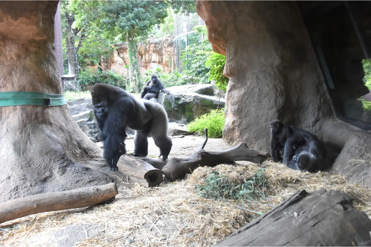 ▲(公財)東京動物園協会