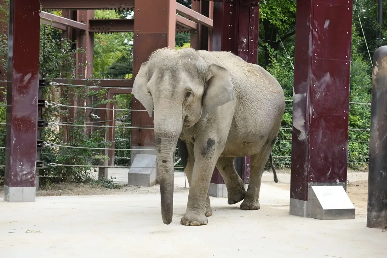 ▲(公財)東京動物園協会